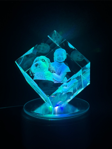 diamond_one_kid_one_dog